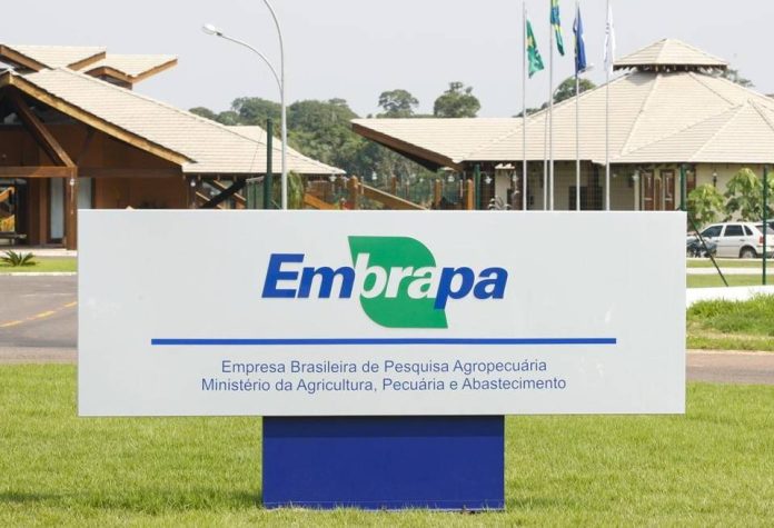 Embrapa Rj Embrapa revolucionou agricultura brasileira, diz pesquisa dos EUA ...